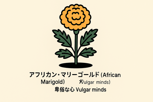【アフリカン・マリーゴールド】の花言葉は「卑俗」｜当時の記録を解説