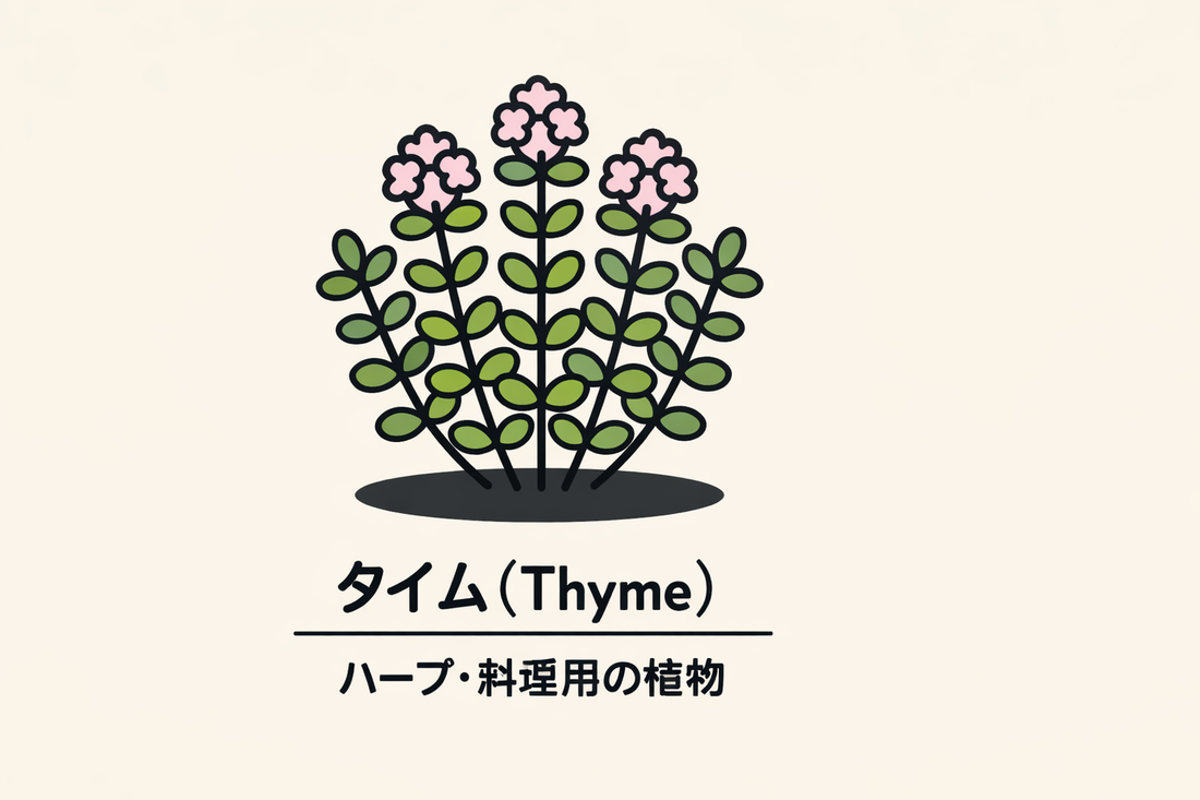 【タイム】の花言葉は「活動的」｜Greenawayに残る象徴の意味