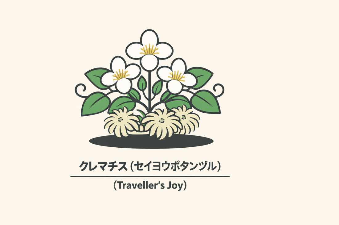 【クレマチス】の花言葉は「安全」｜1884年の記録から解説