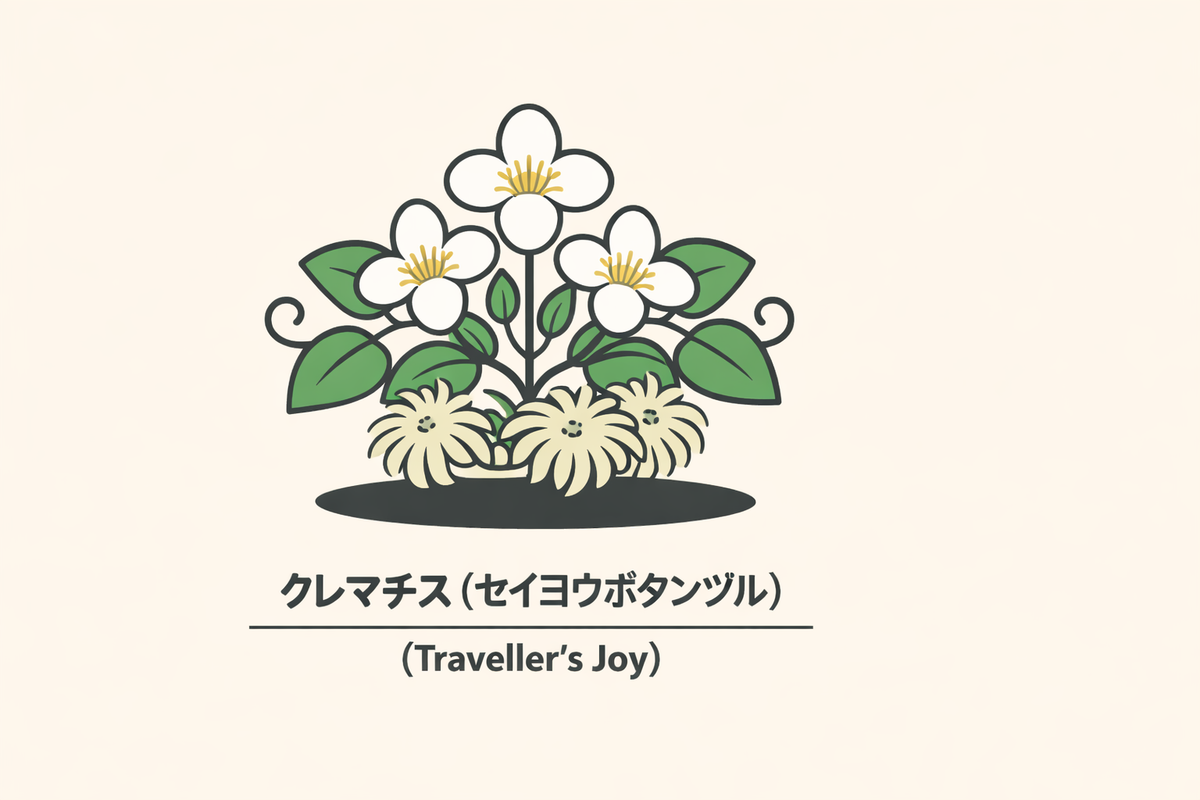 クレマチス】の花言葉は「安全」｜1884年の記録から解説 – Leaf