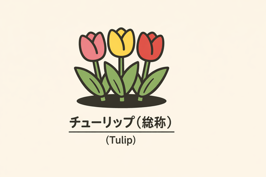 【チューリップ】の花言葉は「名声」｜1884年資料の記録と意味
