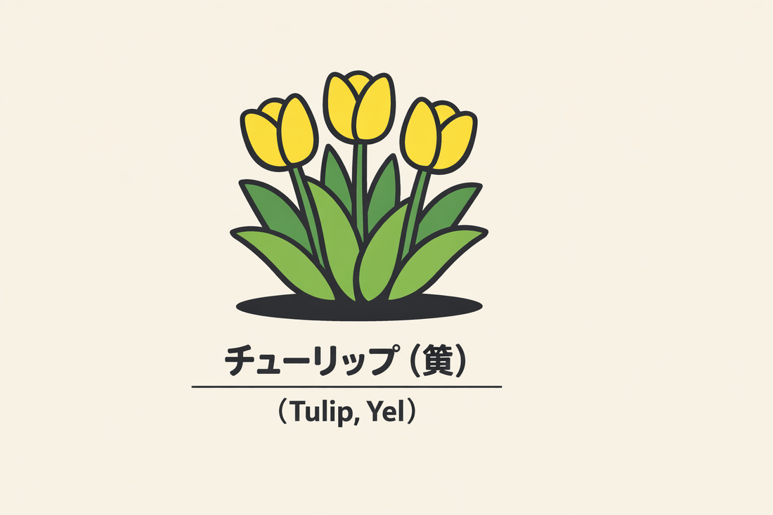 【黄色いチューリップ】の花言葉は「望みなき愛」｜記録された意味