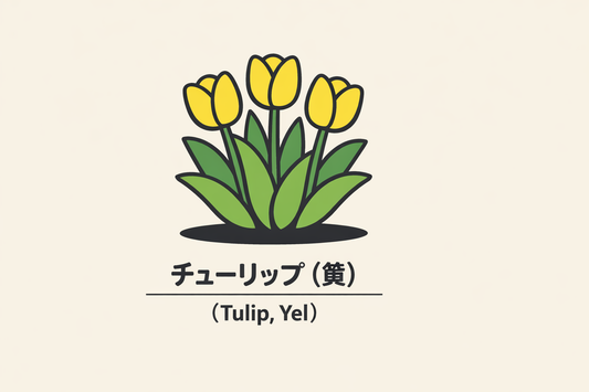 【黄色いチューリップ】の花言葉は「望みなき愛」｜記録された意味