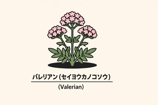 【バレリアン】の花言葉は「物分かりのよさ」｜1884年の記録