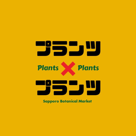 プランツ × プランツ Sapporo Botanical Market 2025