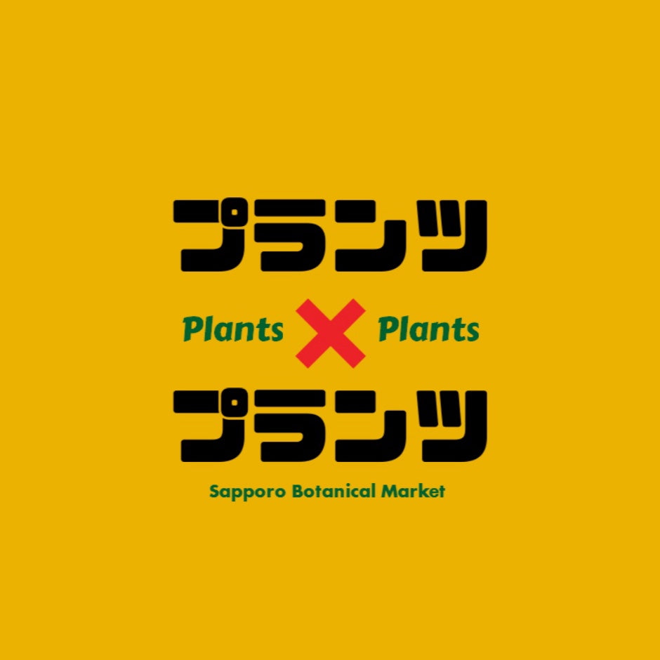 市川園芸がガーデニングショップマインを札幌市東区伏古で4月26日グランドオープン、造園と園芸のトータル提供施設