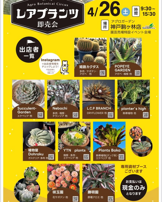 レアプランツ即売会がアグロガーデン駒ヶ林店で開催、神戸市民にアガベなどの希少植物を提供