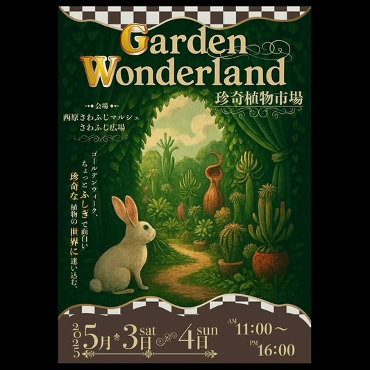 珍奇植物市場「Garden Wonderland」がGWに沖縄で開催、西原さわふじマルシェに珍しい植物が集結
