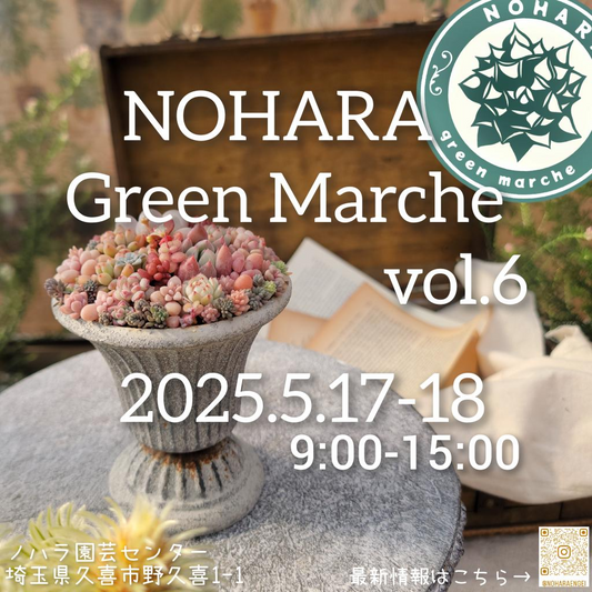 NOHARA Green Marche vol.6が5月に開催、埼玉県久喜市で多肉植物を中心に17店舗が出店予定