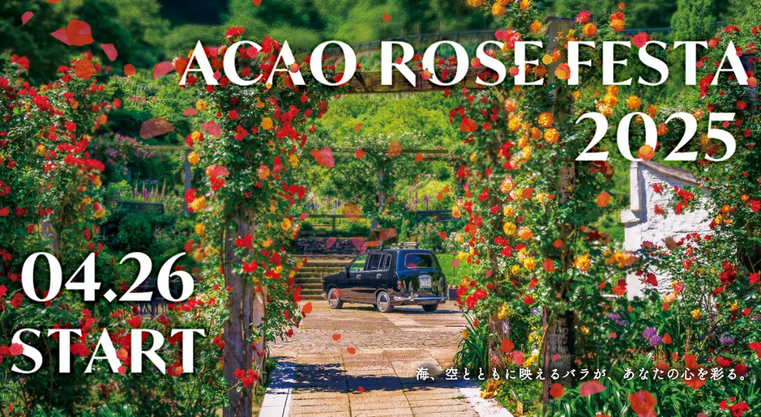 ACAO FORESTがバラの祭典「ACAO ROSE FESTA 2025」を開催、600種4,000株のバラと特別イベントで春の訪れを演出