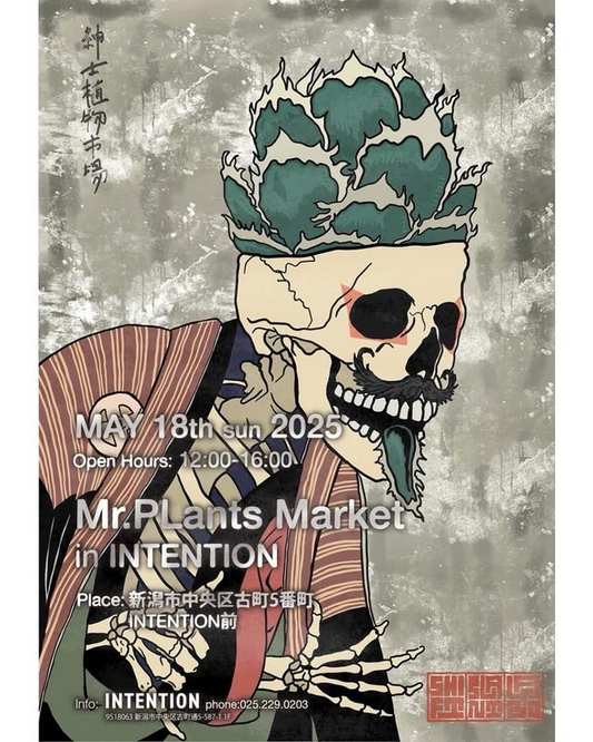 INTENTIONとMr Plantsが古町でコラボイベントを開催、植物販売と飲食ブースで新たな価値観を提案