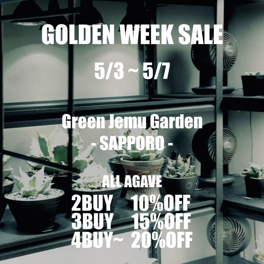 GreenJemu Gardenが5日間限定でアガベセール開催、購入点数に応じた割引と駐車場利用者特典で購入チャンス拡大