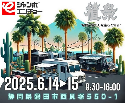 植祭2025が静岡県磐田市で開催決定、多肉植物からビカクシダまで多様な植物と40店舗が大集結