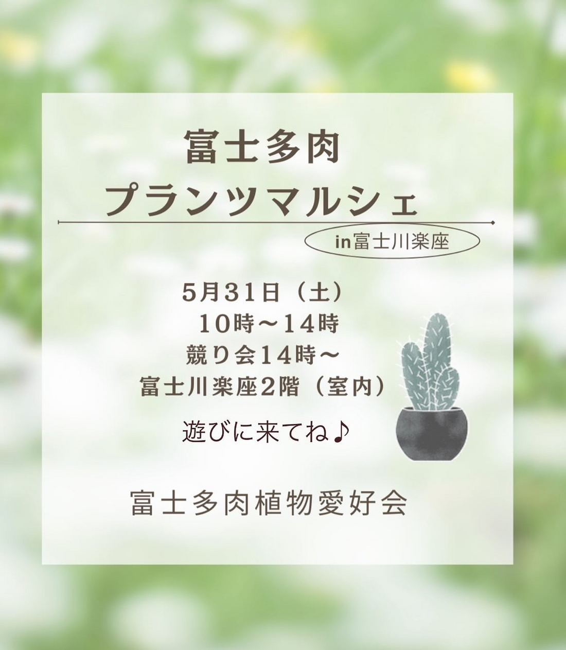 富士多肉植物愛好会が多肉プランツマルシェを富士川楽座で開催、植物販売と競り会で愛好家に交流の場を提供