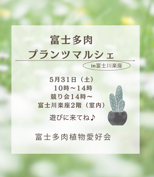 富士多肉植物愛好会が多肉プランツマルシェを富士川楽座で開催、植物販売と競り会で愛好家に交流の場を提供