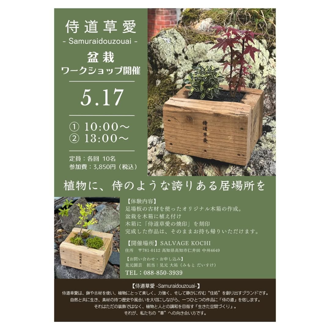 侍道草愛が足場板古材を活用したカジュアル盆栽ワークショップを高知市で開催、植物と人の新しい関係性を提案