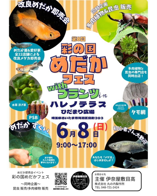 彩の国めだかフェスがハレノテラス東大宮で開催、めだかと植物の複合イベントが水辺の景観を提案