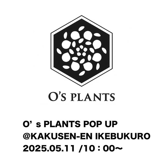 鶴仙園池袋店がO's PLANTSのPOPUPイベントを開催、オリジナル実生苗と希少品種SADAO1を販売