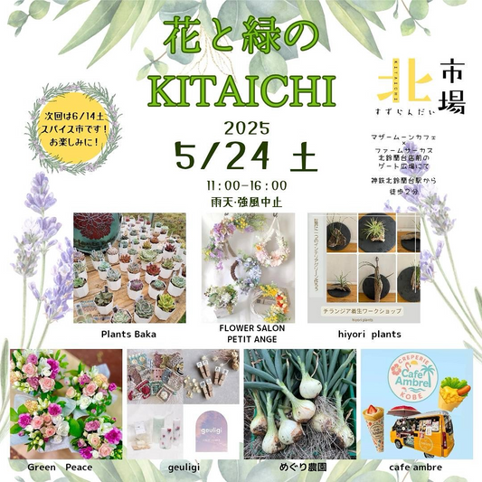 花と緑のKITAICHIが5月24日開催、神戸市北区で多肉植物と観葉植物のマーケット