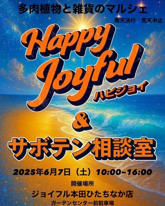 ジョイフル本田がHappyJoyful&サボテン相談室を6月7日開催、約40店舗参加の多肉植物と雑貨マルシェをひたちなか店で実施