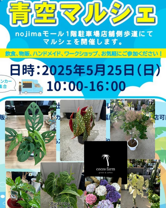 cocosfarmがNEW cocosfarmへ展開発表、6月カフェスペース完成で5月25日青空マルシェ出店