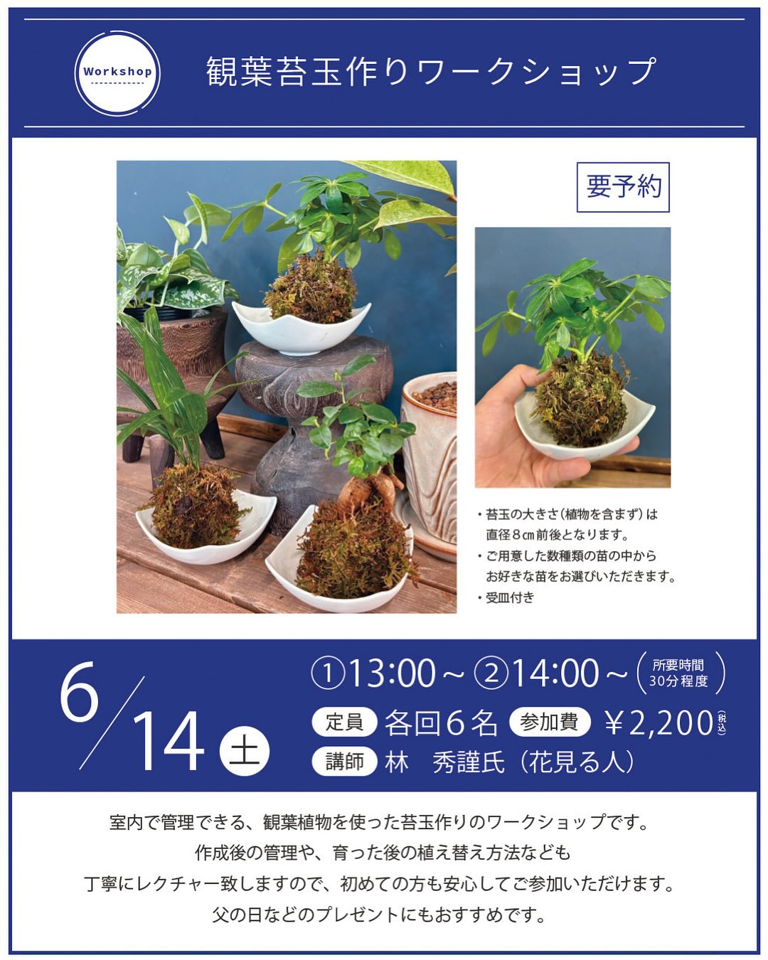 プロトリーフゆめが丘ソラトス店が観葉植物の苔玉作りワークショップを開催、和モダンなインテリアグリーン制作を6月14日実施