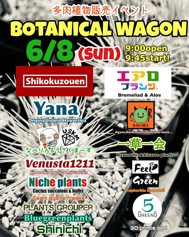 四国造園がBOTANICAL WAGON多肉植物販売イベントを開催、13の専門出店者によるマルシェスタイル販売会を6月8日実施