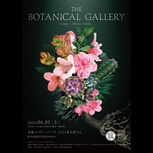 THE BOTANICAL GALLERYが鹿沼市で6月1日開催、50点の多肉植物・さつき・Bonsai展示とワークショップで植物の魅力を発信