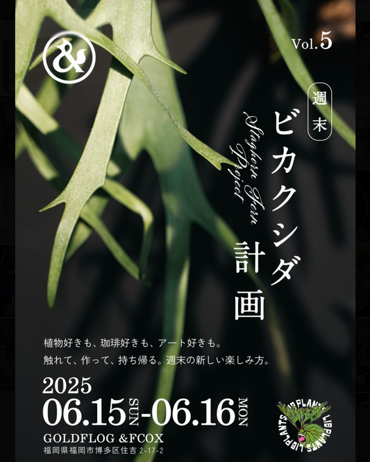 LIBPLANTS×GOLDFLOG AND FCOXがビカクシダワークショップを福岡で6月15日・16日開催、マンツーマン指導でオリジナル制作が可能