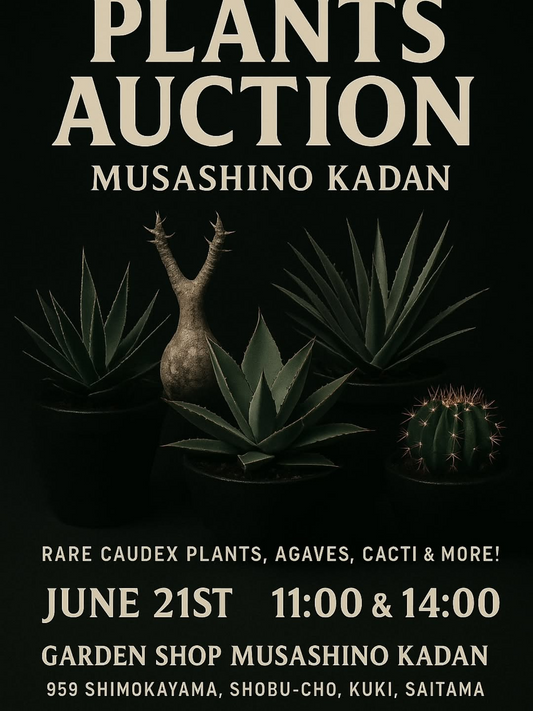 武蔵野花壇が夏至祭で6月21日にプランツオークション開催、一般出品募集で11時と14時の2回実施