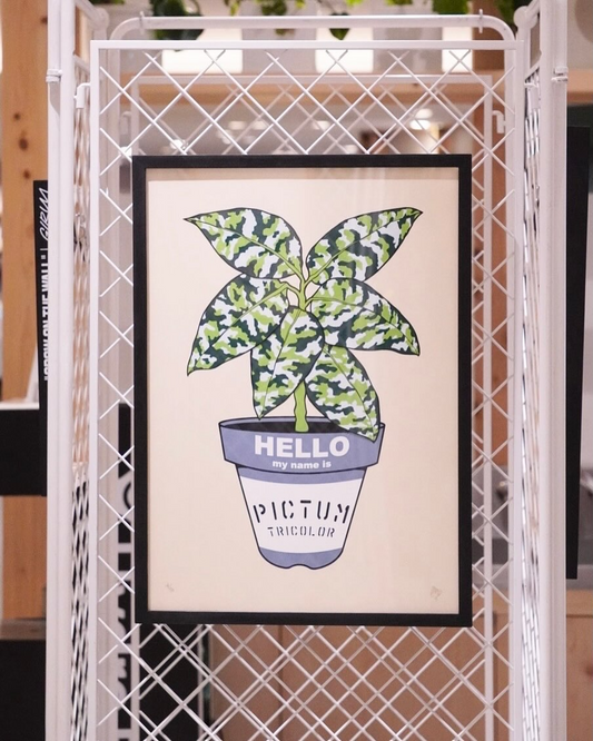 阪急うめだ本店でGIRUVIの植物アート展示販売開催、シルクスクリーンワークショップも実施