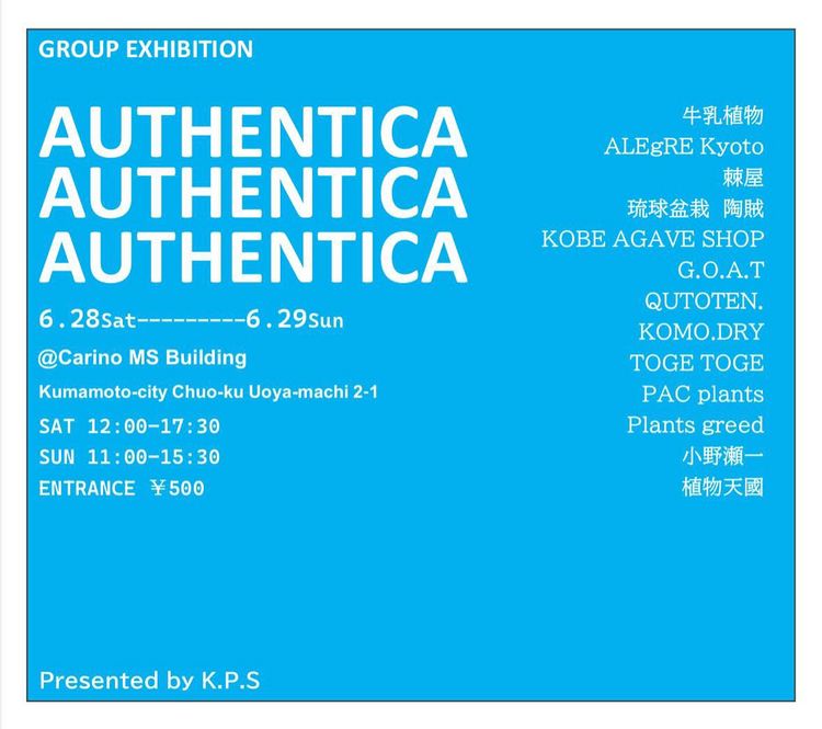 k.p.s.2020がAUTHENTICA植物イベントを熊本開催、真の価値を表現する出店者が集結 – Leaf Laboratory（リーフラ）