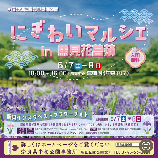 にぎわいマルシェin馬見花菖蒲2025が6月7日・8日開催、奈良県馬見丘陵公園で100品種3万本の花菖蒲祭り