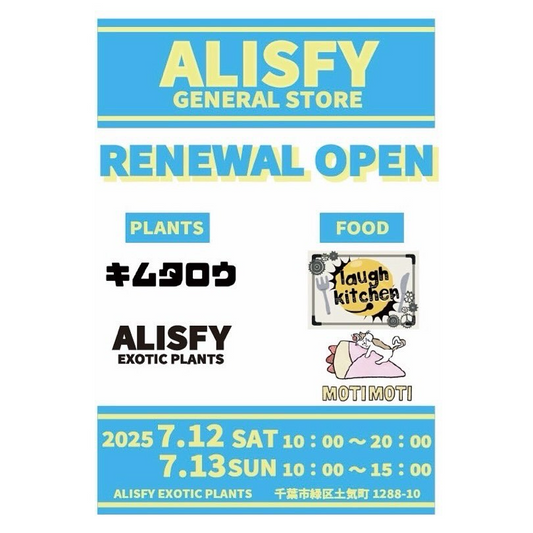 ALISFY GENERAL STOREが7月12日・13日にリニューアルオープン、DULTONを中心としたアメリカンビンテージ雑貨店として再開