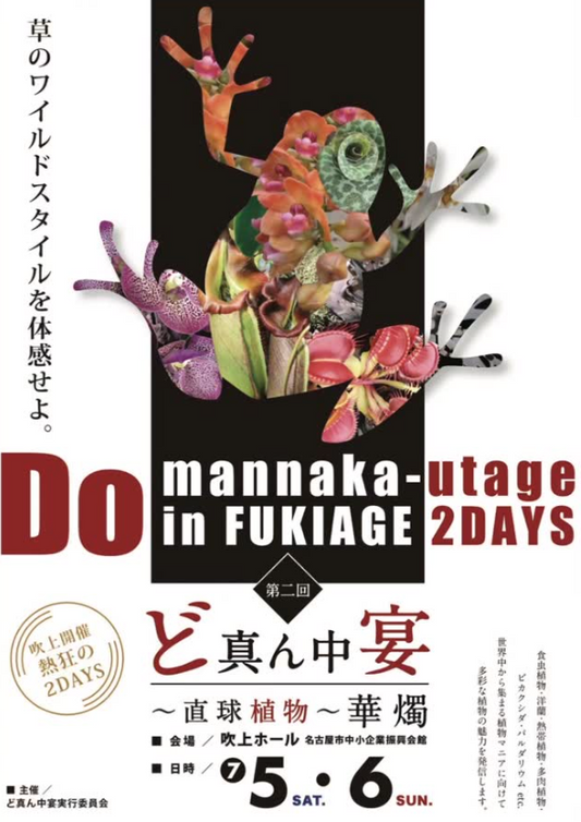 第2回ど真ん中宴〜直球植物〜華燭が7月5日・6日開催、名古屋吹上ホールで植物の魅力を発信