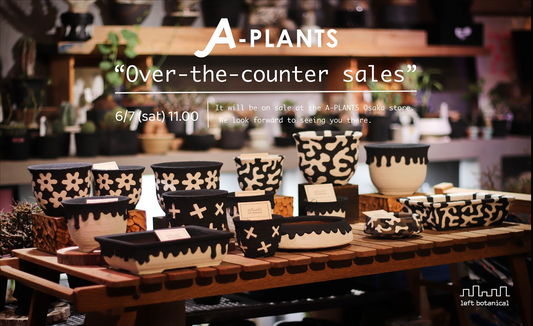 人気鉢作家left_botanicalがA-PLANTS大阪店で販売開始、6月7日に作家本人が店頭で植物談話も実施