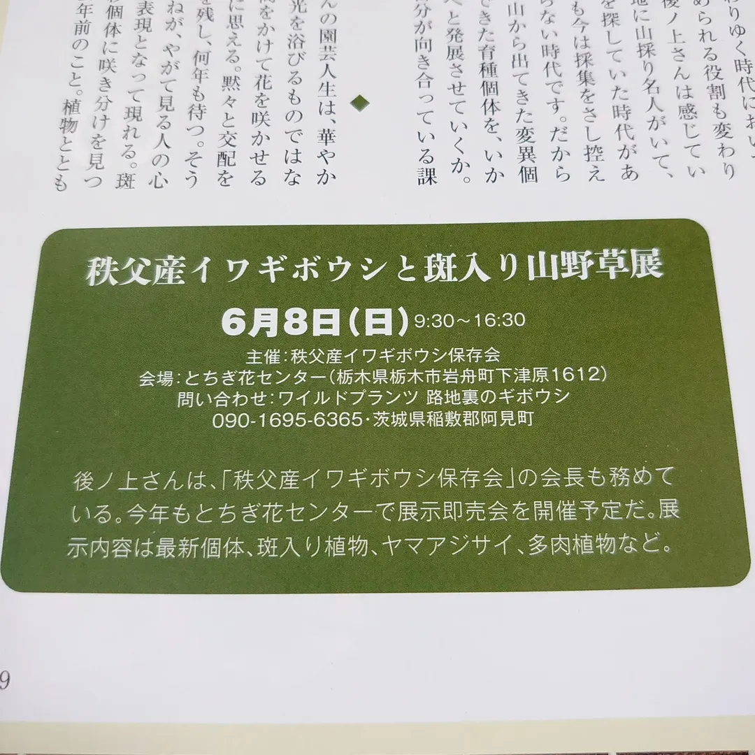 秩父産イワギボウシ保存会が世界初イワギボウシ展示即売会開催、6月8日にとちぎ花センターで希少ギボウシと山野草を紹介 - リーフラ編集部