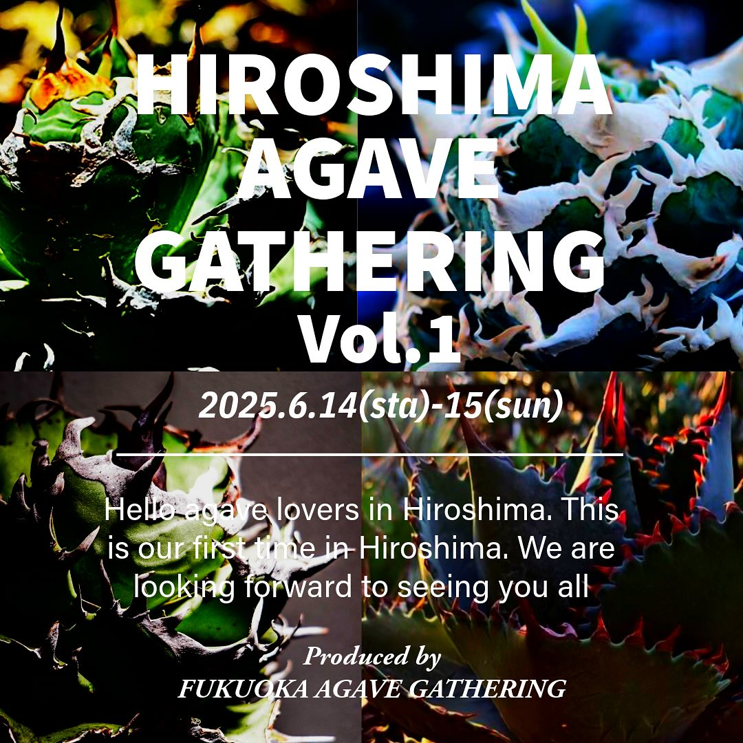 HIROSHIMA AGAVE GATHERINGが広島初開催、@48agave_gardenerを特別ゲストに迎えフクオカクルーが本州進出 - リーフラ編集部