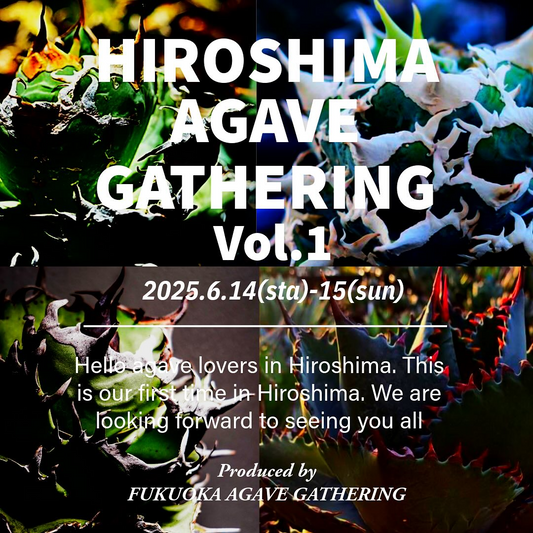 HIROSHIMA AGAVE GATHERINGが広島初開催、@48agave_gardenerを特別ゲストに迎えフクオカクルーが本州進出