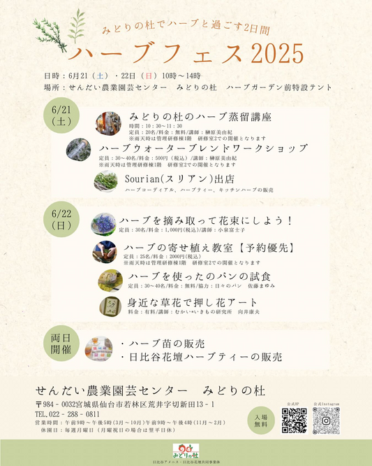 ハーブフェス2025がせんだい農業園芸センターで開催決定、ジャーマンカモミール蒸留講座やハーブブレンドワークショップを実施