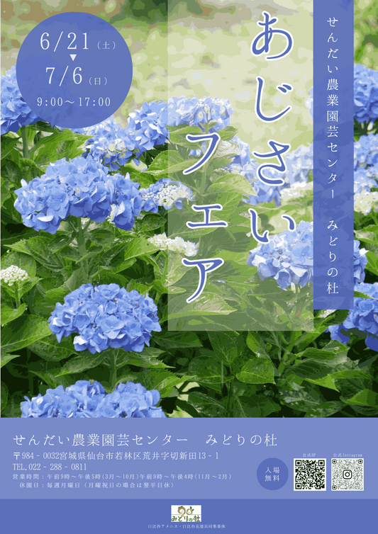アジサイフェア2025がせんだい農業園芸センターで開催決定、開花状況により開始日を6月21日に変更し200株のアジサイが見頃