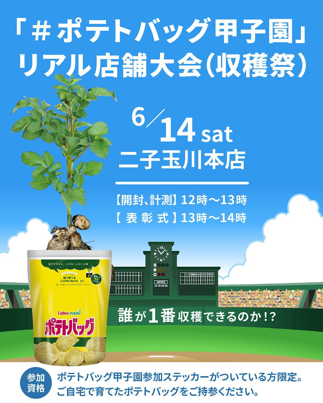 プロトリーフ二子玉川本店でポテトバッグ甲子園収穫祭を6月14日開催、自宅栽培じゃがいもの収穫量を競うコンペティション