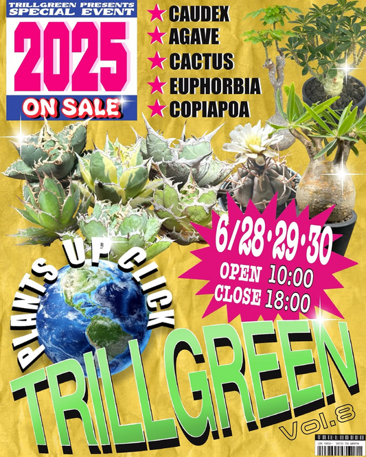 TRILLGREENが山形県米沢市で6月28日から30日まで3日間限定セールイベント開催、PLANET ROCK PLANTSのアガベベアルート株を特価販売