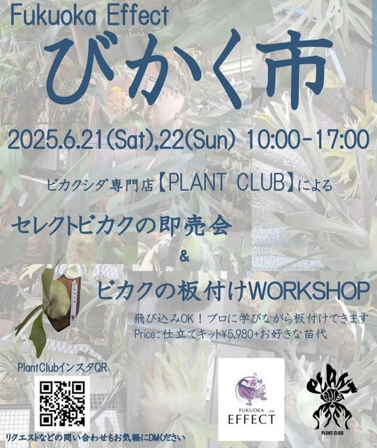 PLANT CLUBがFukuoka Effectでびかく市を6月21日・22日開催、セレクトビカクの即売会と板付けワークショップが同時実施
