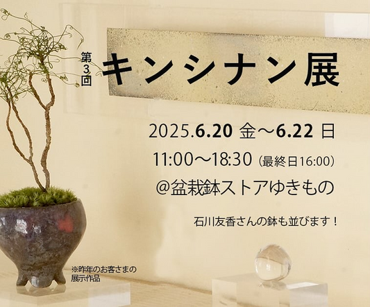 盆栽鉢ストアゆきものが東京都杉並区で第3回キンシナン展を6月20日から開催、錦糸南天の展示と苗木販売で魅力を紹介