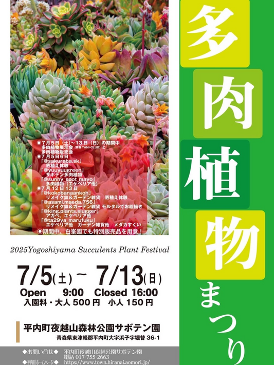 平内町夜越山森林公園サボテン園が多肉植物まつり開催、青森で7月に展示販売と寄植え体験を9日間実施