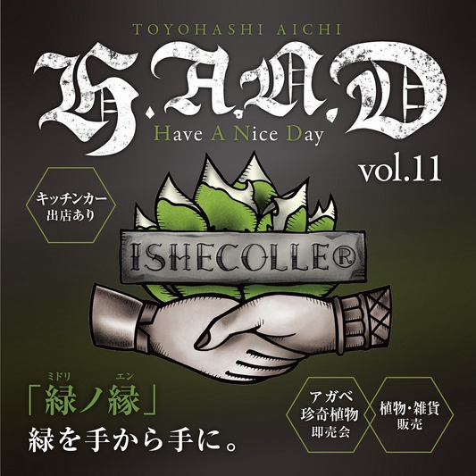 H.A.N.D vol.11が愛知県豊橋市で開催、アガベ専門店集結とイベント限定ガチャで植物愛好家が注目