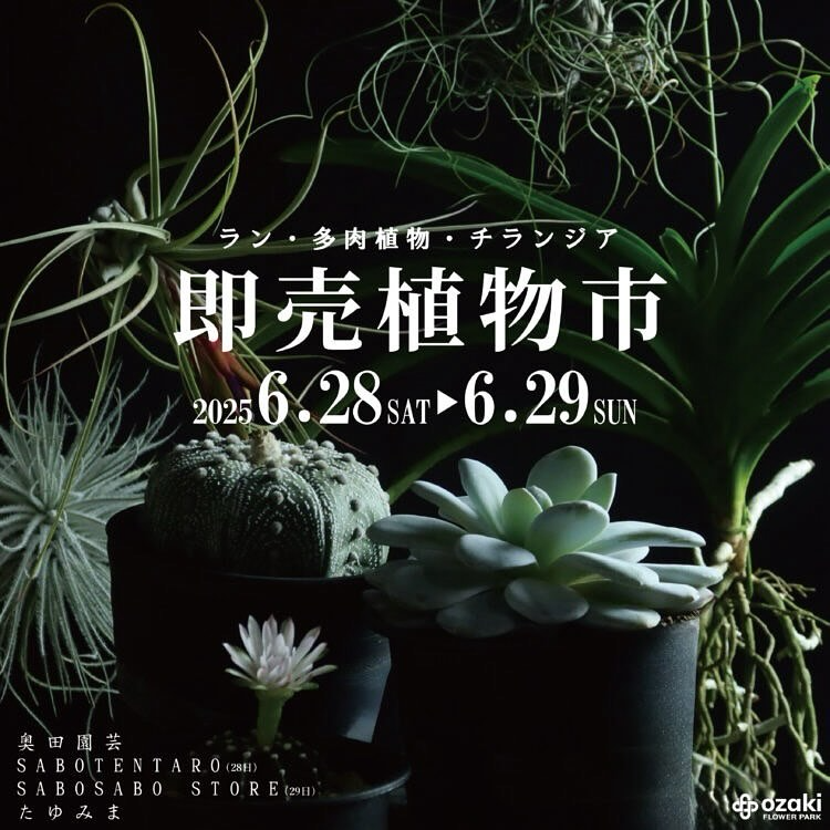 オザキフラワーパークが珍奇植物即売会を開催、SABOSABO STOREなど専門店が東京都練馬区に集結