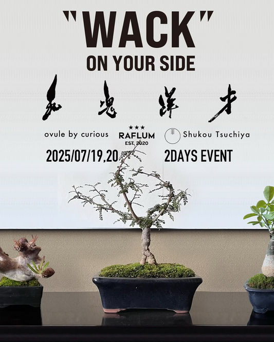 ovule by curious、RAFLUM、土屋秋恆が和魂洋才をテーマにした新ブランドをローンチ、2025年7月に原宿でイベント開催
