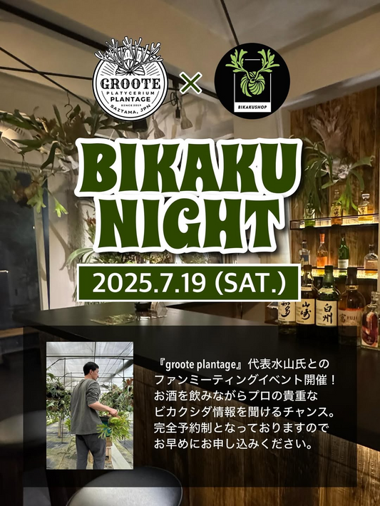 BIKAKUSHOPがgroote plantage代表水山氏とのファンミーティングを7月19日開催、完全予約制2部制で各回6名限定